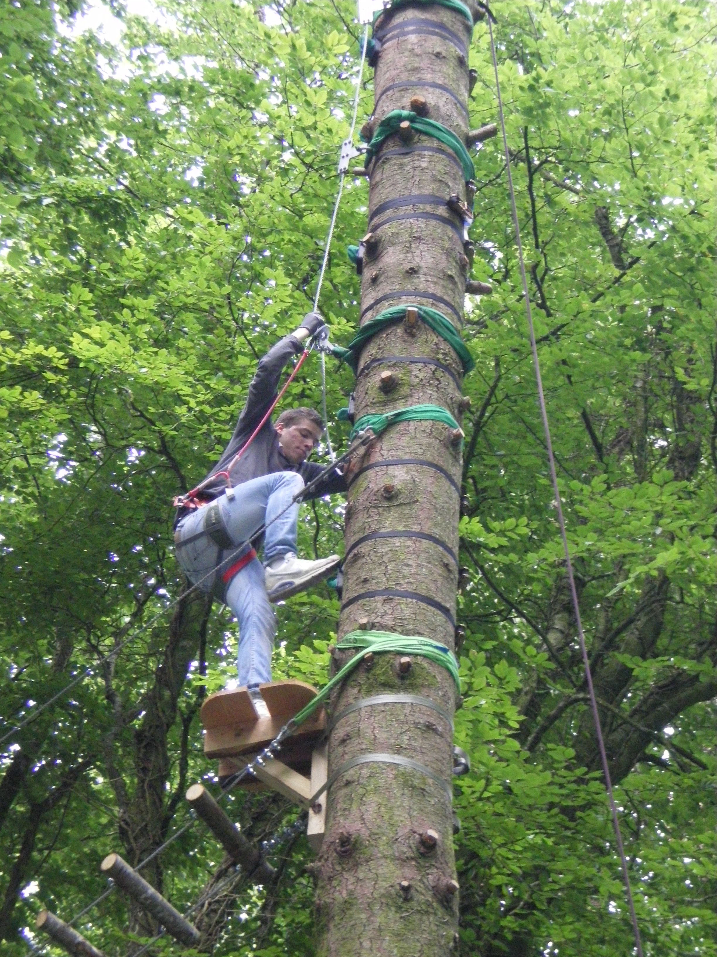 MFR ELLIANT ACCROBRANCHE